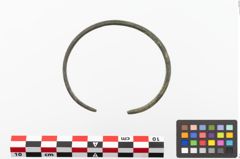 Foto von Bronzearmreif (NHMW-PRAE-023697)